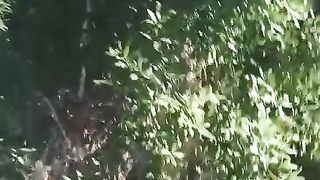 حديقة اجمل ربيعة