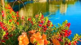 رَبَّنَا آمَنَّا بِمَا أَنْزَلْتَ وَاتَّبَعْنَا الرَّسُولَ