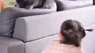 Funny animals 2023???? - Funniest Cats and Dogs Video????????328 #shorts (1).