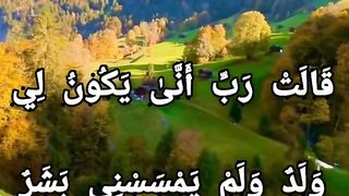 قَالَتْ رَبِّ أَنَّىٰ يَكُونُ لِي وَلَدٌ وَلَمْ يَمْسَسْنِي بَشَرٌ