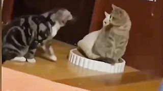 Very very funny situations????????مواقف مضحقه جدا جدا