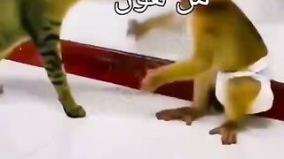 Very very funny situations????????مواقف مضحقه جدا جدا