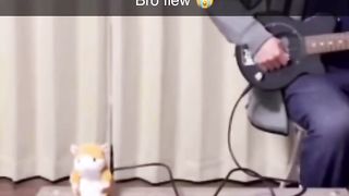 He flew