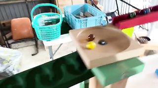 Marble run race ASMR healing with 5 types of marbles#marblerunrace  #marbletrack