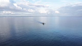 sea adventure..