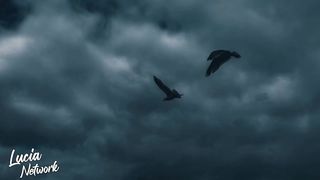 NEFFEX - Crown (Lyrics)