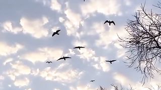 ما أجمل السماء