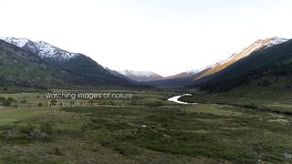 The Lives of Pumas, Eagles, Whales and More ｜ Relax With Nature ｜ The Wild Place ｜ BBC Earth