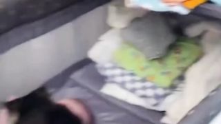 Caring cat caring ????????