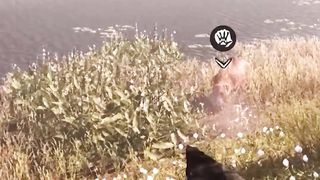 Far CRY Primal (2016) Sabretooth Tiger