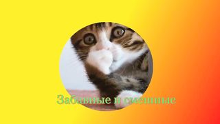 ПОЗИТИВ