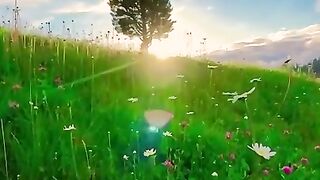 Natural video