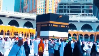 Kabha / Madinah / song  / madinah  / hazz / # #viral #fsp #Febspot #fyp