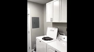Funniest Cat Video 2024 ????