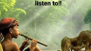 The most delicious music: try listening to it!! Will make your soul calm, you will definitely like it