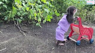 Bibi Helps Stuck in the rain