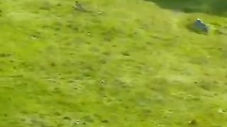الأم#