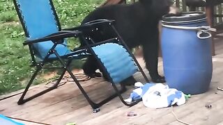 #funny