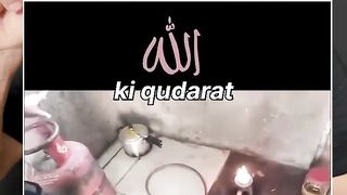 Allah tala ki qudrat