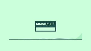 You Don't Need To Travel To Enjoy A Safari ｜ BBC Earth Podcast Full Episode ｜ BBC Earth