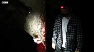 Up Close and Personal with a Urban Bat ｜ 24 Hours With ｜ BBC Earth