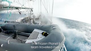 Filming in the Frozen World ｜ Behind The Scenes Of Frozen Planet II ｜ BBC Earth