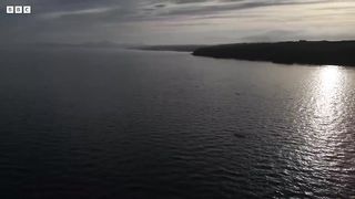 Harrowing Ocean Encounter with Baby Whale ｜ Bad Natured ｜ BBC Earth