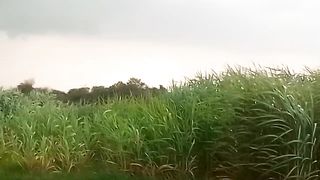 Pind#vairl#mosam#cute