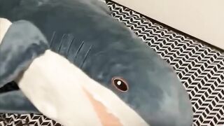 Pillow abuse