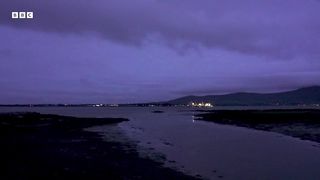 From Dark till Dawn： Wake up in Northern Ireland ｜ Relax With Nature ｜ BBC Earth