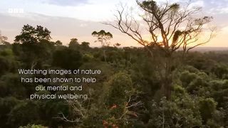 The Beautiful Wildlife of Argentina ｜ Relax With Nature ｜ The Wild Place