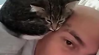 This cat changed him from being on team dog
