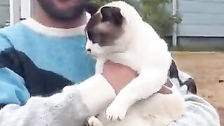 Cat man
