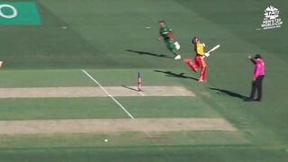 cricket match highlight