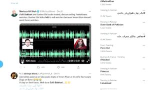 Audio Leak Bushra Bibi