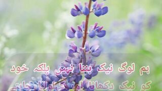 Islamic tuch