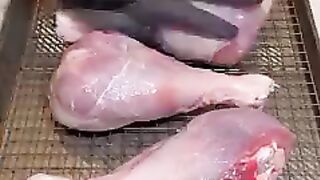 funny videos intertenmant