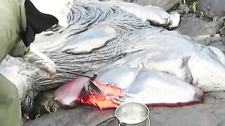 Lawa video