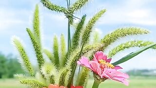 Natural beauty of the world