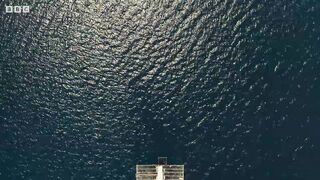 These Fishermen Are Helping Whale Sharks Thrive ｜ 4K UHD ｜ Seven Worlds One Planet ｜  BBC Earth