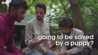Sniffer Dogs Saving Tortoises ｜ Reports From The Frontline ｜ BBC Earth