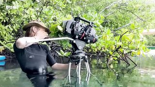 The Fish with Incredible Shooting Aim ｜ Planet Earth III Behind the Scenes ｜ BBC Earth
