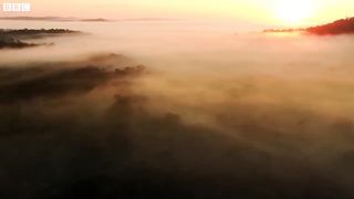 A Relaxing Journey To The Rainforests of South America ｜ The Wild Place ｜ BBC Earth
