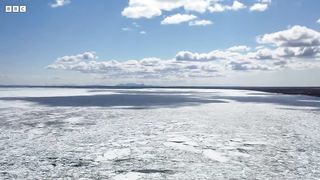 Saving Wild Salmon Populations ｜ Our Frozen Planet ｜ BBC Earth