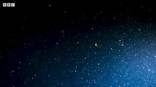 What Lurks in the Midnight Zone？ ｜ Blue Planet II ｜ BBC Earth