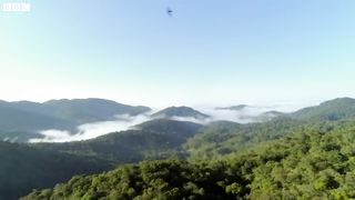 Take Flight with South American Birds ｜ The Wild Place ｜ Relax With Nature ｜ BBC Earth