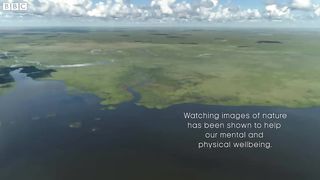 The Soothing Wetlands of Argentina ｜ The Wild Place ｜ BBC Earth