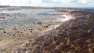 Extraordinary Octopus Takes To Land ｜ 4K UHD ｜ The Hunt ｜ BBC Earth