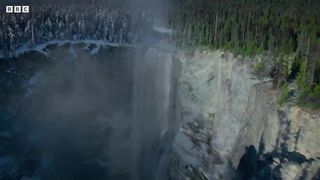 Bears Dancing in the Forest ｜ 4K UHD ｜ Planet Earth II ｜ BBC Earth