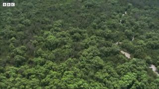 Honey Hunters vs Bees and Tigers ｜ Ganges ｜ BBC Earth
